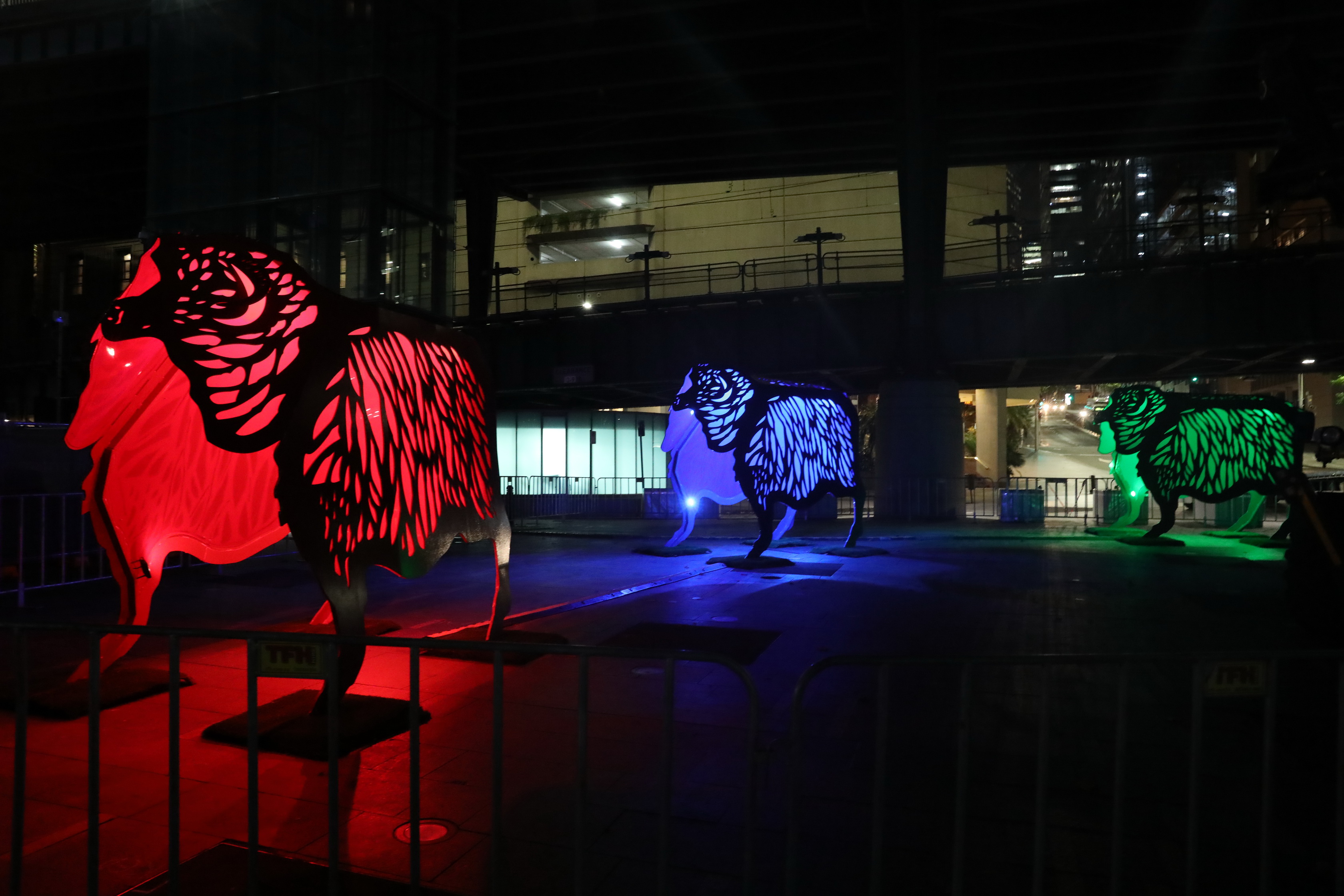 2020 01 30 21 23 35 Canon EOS 5D Mark IV 0044